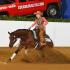Ostner at AQHA Congress
